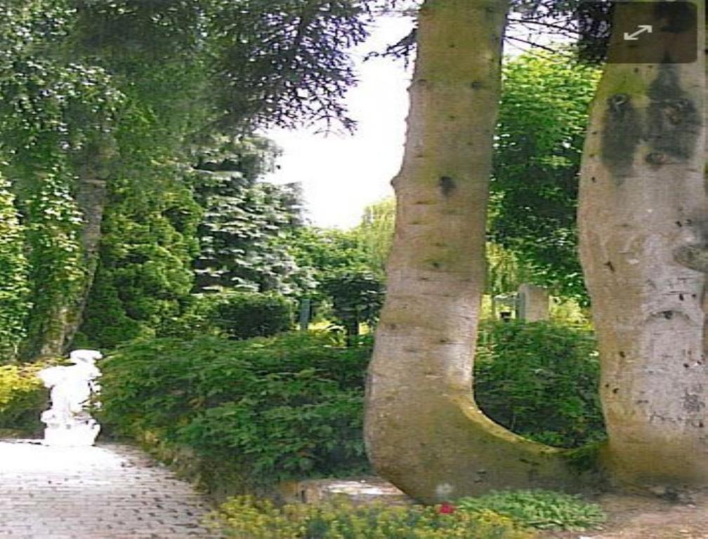 7 , Le Haut Montraye Pacé Dış mekan fotoğraf